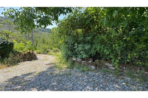 Tomt i Baiao, Porto, Baiao - € 47 000 | Ref: MC09944 - foto 27