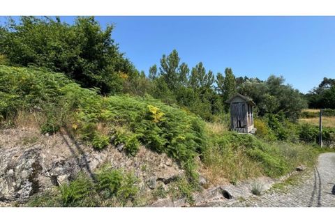 Tomt i Baiao, Porto, Baiao - € 47 000 | Ref: MC09944 - foto 30