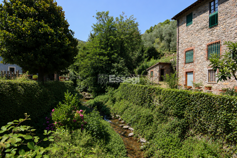Byhus i Capannori, Lucca, Capannori - € 220.000 | Ref: IA04267 - foto 2