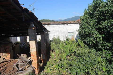Villa en Arganil, Coimbra, Arganil - € 46.000 | Ref: M-31228 - photo 19