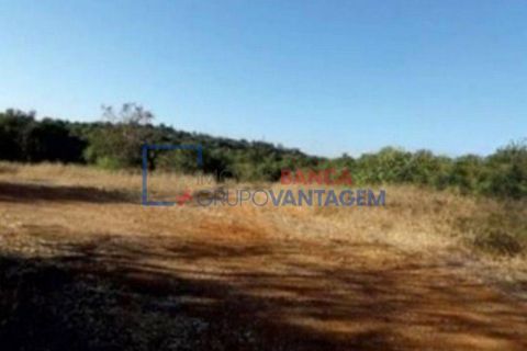 Ruinere i Tavira, Faro, Tavira - € 800.000 | Ref: Q-25356 - foto 5