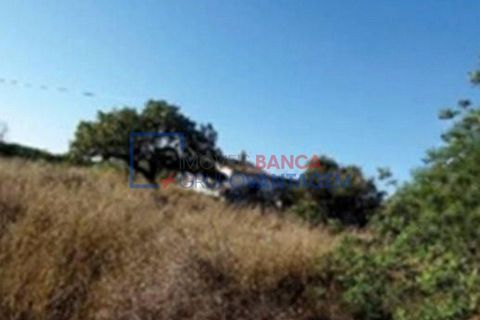 Ruinere i Tavira, Faro, Tavira - € 800.000 | Ref: Q-25356 - foto 6