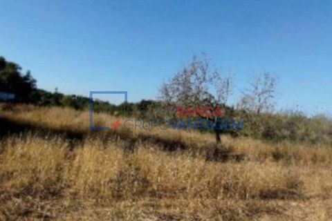 Ruinere i Tavira, Faro, Tavira - € 800.000 | Ref: Q-25356 - foto 7