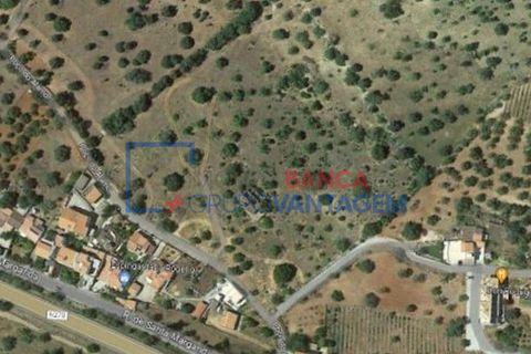 Ruinere i Tavira, Faro, Tavira - € 800.000 | Ref: Q-25356 - foto 12
