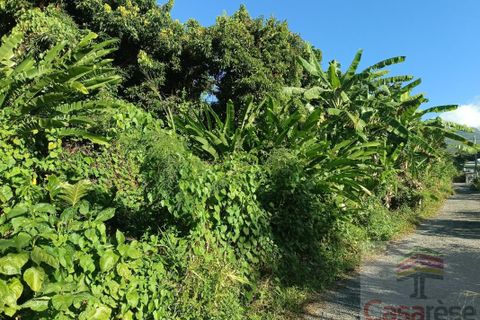 Terra a Sainte-Rose, La Reunion, Sainte-Rose - € 99.000 | Ref: 6900410353 - foto 2