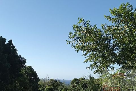 Terra a Sainte-Rose, La Reunion, Sainte-Rose - € 99.000 | Ref: 6900410353 - foto 3