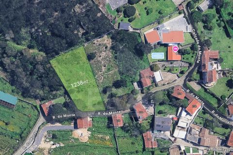 Terra em Terroso, Porto, Terroso - € 18.500 | Ref: 039260064 - foto 2