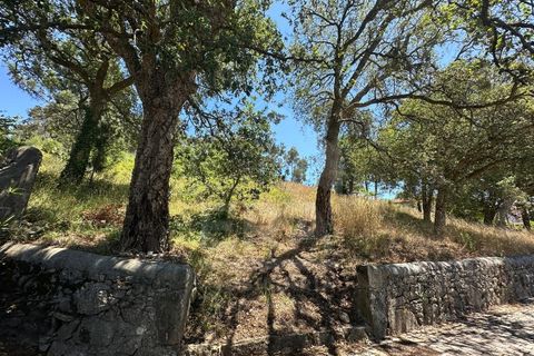 Terra em Terroso, Porto, Terroso - € 18.500 | Ref: 039260064 - foto 3