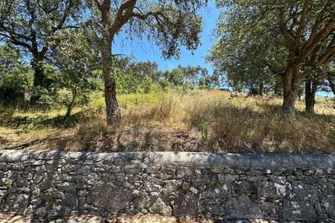 Terra em Terroso, Porto, Terroso - € 18.500 | Ref: 039260064 - foto 4