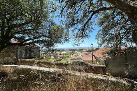 Terra em Terroso, Porto, Terroso - € 18.500 | Ref: 039260064 - foto 5