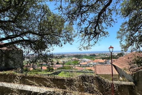 Terra em Terroso, Porto, Terroso - € 18.500 | Ref: 039260064 - foto 6