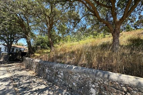 Terra em Terroso, Porto, Terroso - € 18.500 | Ref: 039260064 - foto 7