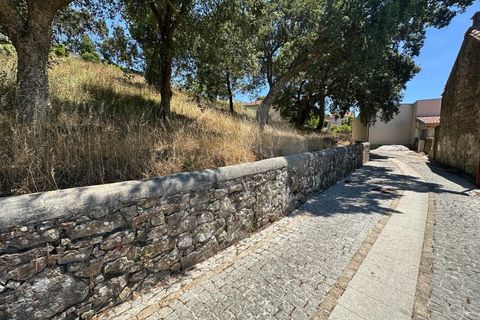 Terra em Terroso, Porto, Terroso - € 18.500 | Ref: 039260064 - foto 8
