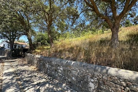 Terra em Terroso, Porto, Terroso - € 18.500 | Ref: 039260064 - foto 9