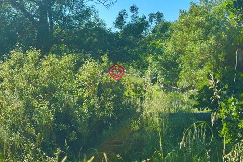 Haus in Bram, Aude, Bram - € 650.000 | Ref: NVVFB02 - Foto 13