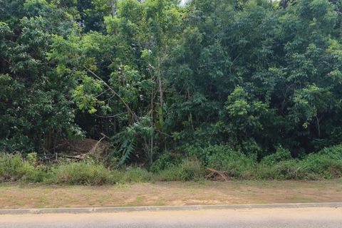 Terra em Macouria, French Guiana, Macouria - € 996.418 | Ref: 2458 - foto 2