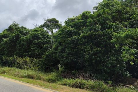 Terra em Macouria, French Guiana, Macouria - € 996.418 | Ref: 2458 - foto 3