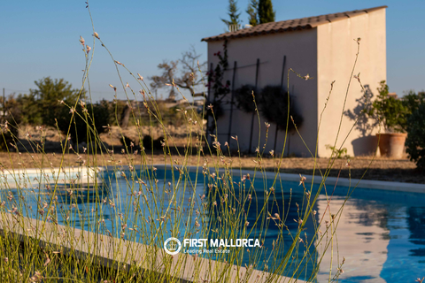 Landejendom i Moscari, Mallorca, Moscari - € 2.900.000 | Ref: 84019 - foto 7