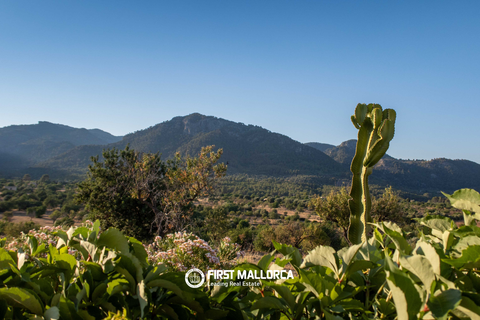 Landejendom i Moscari, Mallorca, Moscari - € 2.900.000 | Ref: 84019 - foto 26