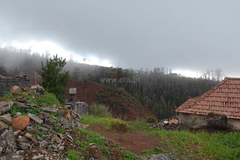 Stadthaus in Calheta, Madeira, Calheta - € 220.000 | Ref: 081260121 - Foto 8
