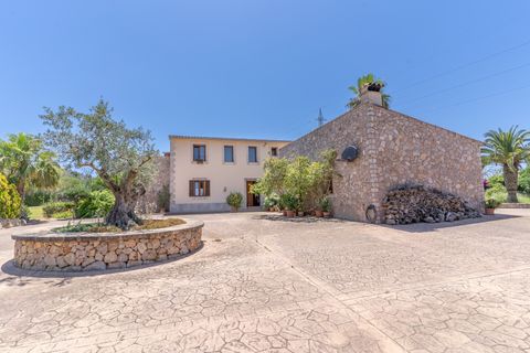 Landejendom i Manacor, Mallorca, Manacor - € 1.900.000 | Ref: V744 - foto 5