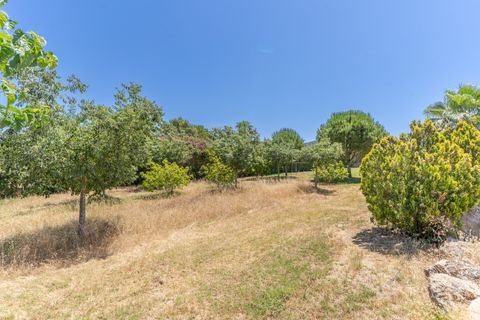 Landejendom i Manacor, Mallorca, Manacor - € 1.900.000 | Ref: V744 - foto 6