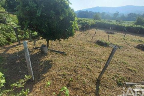 Tomt i Melgaco, Viana do Castelo, Melgaco - € 350 000 | Ref: 968522 - foto 3