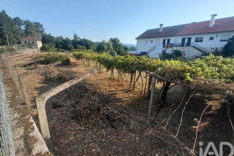 Tomt i Melgaco, Viana do Castelo, Melgaco - € 350 000 | Ref: 968522 - foto 8