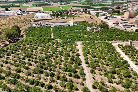 Landejendom i Orihuela, Alicante, Orihuela - € 599.000 | Ref: CSPL-83893 - foto 4