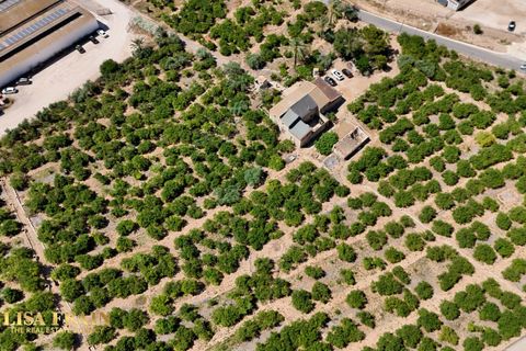 Landejendom i Orihuela, Alicante, Orihuela - € 599.000 | Ref: CSPL-83893 - foto 9