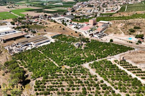 Landejendom i Orihuela, Alicante, Orihuela - € 599.000 | Ref: CSPL-83893 - foto 12