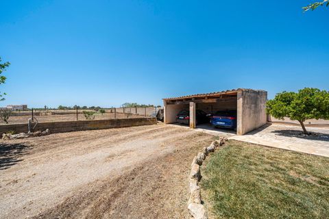 Landejendom i Campos, Mallorca, Campos - € 949.000 | Ref: 05LF044/3010 - foto 35