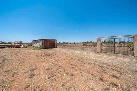 Landejendom i Campos, Mallorca, Campos - € 949.000 | Ref: 05LF044/3010 - foto 36