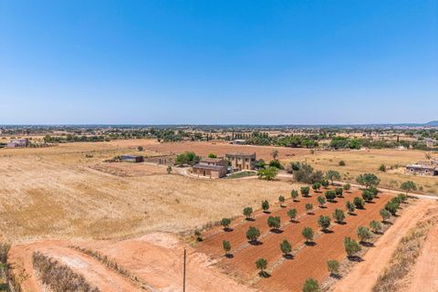 Landejendom i Campos, Mallorca, Campos - € 949.000 | Ref: 05LF044/3010 - foto 39