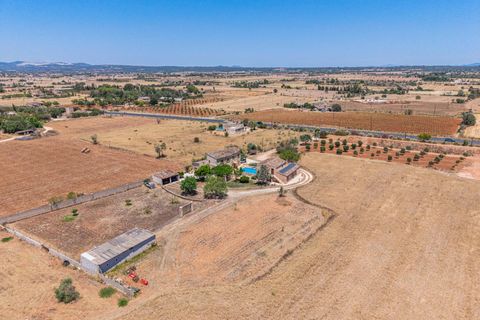 Landejendom i Campos, Mallorca, Campos - € 949.000 | Ref: 05LF044/3010 - foto 40
