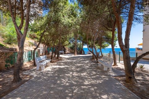 Lejlighed i Cabo Roig, Alicante, Cabo Roig - € 320.000 | Ref: CM501 - foto 25