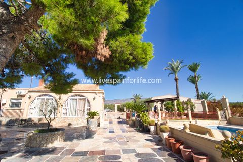 Landejendom i Crevillent, Alicante, Crevillent - € 495.000 | Ref: Crev JMV-D-D - foto 2
