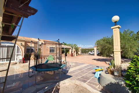 Landejendom i Crevillent, Alicante, Crevillent - € 495.000 | Ref: Crev JMV-D-D - foto 6