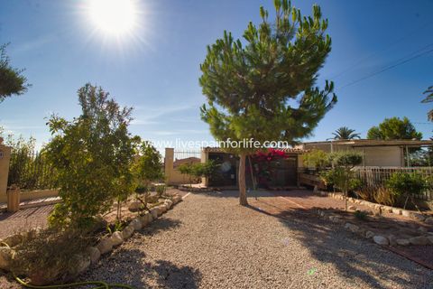Landejendom i Crevillent, Alicante, Crevillent - € 495.000 | Ref: Crev JMV-D-D - foto 22
