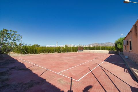 Landejendom i Crevillent, Alicante, Crevillent - € 495.000 | Ref: Crev JMV-D-D - foto 24