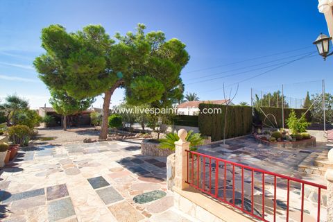 Landejendom i Crevillent, Alicante, Crevillent - € 495.000 | Ref: Crev JMV-D-D - foto 26