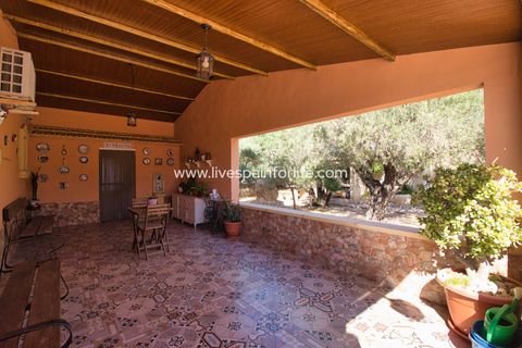 Landejendom i Crevillent, Alicante, Crevillent - € 495.000 | Ref: Crev JMV-D-D - foto 27