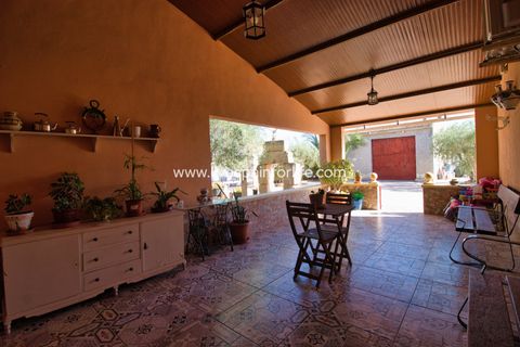 Landejendom i Crevillent, Alicante, Crevillent - € 495.000 | Ref: Crev JMV-D-D - foto 29