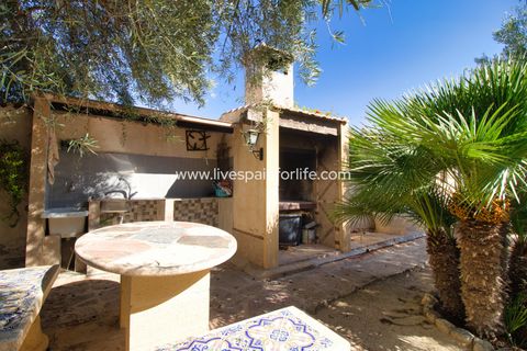 Landejendom i Crevillent, Alicante, Crevillent - € 495.000 | Ref: Crev JMV-D-D - foto 31