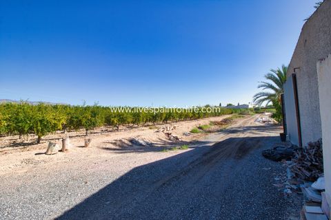 Landejendom i Crevillent, Alicante, Crevillent - € 495.000 | Ref: Crev JMV-D-D - foto 32