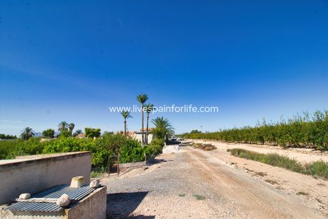 Landejendom i Crevillent, Alicante, Crevillent - € 495.000 | Ref: Crev JMV-D-D - foto 36