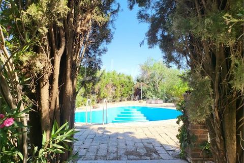 Villa a Puente Genil, Cordoba, Puente Genil - € 230.000 | Ref: VL1233 - foto 2