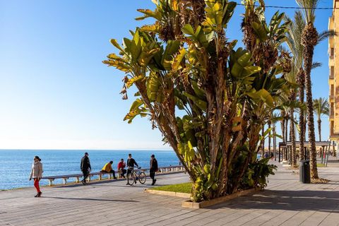 Lejlighed i Torrevieja, Alicante, Torrevieja - € 205.000 | Ref: 786540 - foto 29