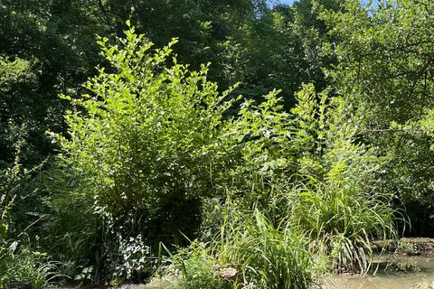 Villa i Uzes, Gard, Uzes - € 720.000 | Ref: 109173 - foto 24