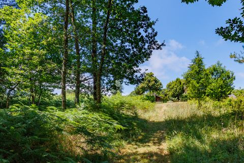 Herregård i Vilalba, Lugo, Vilalba - € 370 000 | Ref: 2168 - foto 30